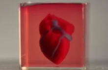 Naukowcy "wydrukowali" pierwsze na świecie serce 3D zbudowane z komórek pacjenta