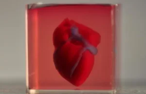 Naukowcy "wydrukowali" pierwsze na świecie serce 3D zbudowane z komórek pacjenta