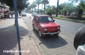 Polski maluch wśród palm? A jakże! Polskie akcenty w Turcji