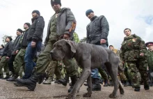 Amnesty International: Są dowody, że rebelianci w Donbasie zabijają jeńców