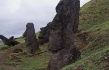 Oto tajemnica Wyspy Wielkanocnej. Co się stało na Rapa Nui?