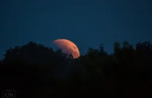 Niesamowite fotografie zaćmienia Księżyca