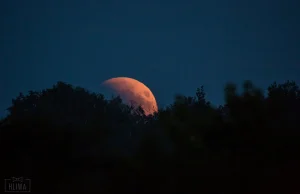 Niesamowite fotografie zaćmienia Księżyca