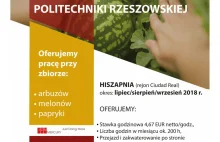 Biuro Karier Politechniki Rzeszowskiej