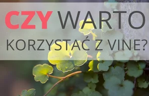 Czy warto korzystać z Vine?