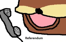 Referendum o referendum