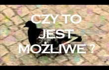 Czy to jest możliwe? - Tuskoland Łelkam