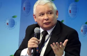 Kaczyński miał rację. Gaz z USA znacznie tańszy od rosyjskiego [ANALIZA