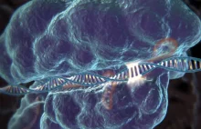 Rząd USA zezwolił na testy metody CRISPR na ludziach chorych na raka