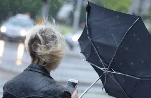 Mocno wieje w całej Polsce. Strażacy interweniowali już 240 razy