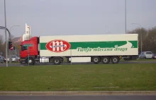 Mlekovita największym eksporterem polskiej żywności. Wyroby w 159 krajach