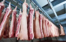 Litewscy rolnicy oczekują wstrzymania importu polskiej wieprzowiny
