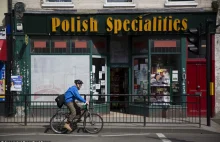 Brexodus przybiera na sile. Poznaj historie Polaków, którzy opuścili Wyspy