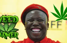 "Dagga Legalized!" - legalizacja marihuany w RPA. - Cannabis News
