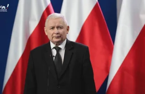 Brawo! Jarosław Kaczyński zapowiada koniec hodowli zwierząt futerkowych w Polsce