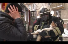Strażacy reanimują kota po pożarze.