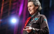 Temple Grandin: Światu potrzeba umysłów różnego rodzaju [Napisy PL]