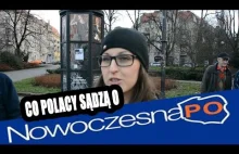 Co Polacy sądzą o Nowoczesnej/KOD/Platformie i oddawaniu przez nich koryta?