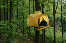 Student z Polski zaprojektował namiot, który może wisieć na drzewie