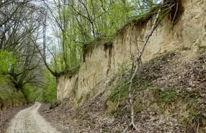 Kazimierz Dolny – kraina lessowych wąwozów