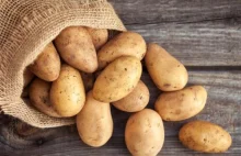 Spożycie ziemniaka równie skuteczne co żel węglowodanowy [ANG]