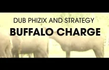 Buffalo Charge - drum n bassowy teledysk roku