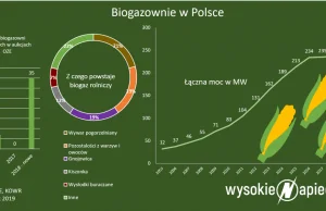 Pomysł na biogazownie pilnie poszukiwany