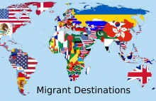 Dokąd emigrują ludzie z różnych krajów