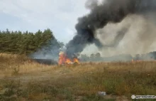 Kierowca wyskoczył z płonącej ciężarówki [film i zdjęcia]