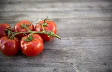 Pomidory trzymane w lodówce tracą smak – już wiadomo dlaczego