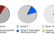 Nisza rynkowa – Twoje miejsce w e-commerce