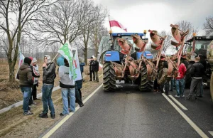 Policja dementuje doniesienia Radia ZET. Nie zatrzymano pijanych rolników