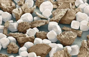 Pieprz i sól pod mikroskopem
