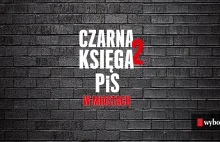 Skok państwa PiS na Polskę lokalną. Raport o niedobrej zmianie - część II