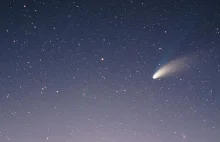 Polscy miłośnicy astronomii odkryli nową kometę w Układzie Słonecznym