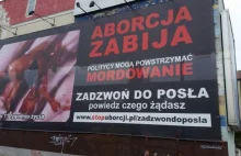 Poznań: Bilbord ze zmasakrowanym płodem znowu wisi na Śródce