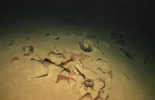 Prawie 1,5 km pod wodą znaleziono wraki dwóch starożytnych, rzymskich statków.