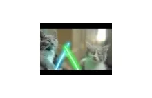 Koty Jedi