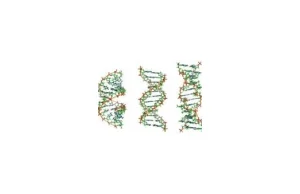 DNA potrafi się teleportować?