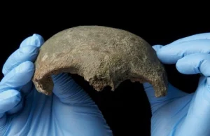 Fragment czaszki sprzed ponad 5 tys. lat znaleziono na brzegu Tamizy