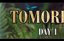 Tomorrowland 2013 na żywo na YT (start 21:00)