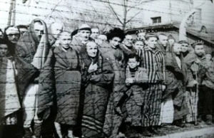 Powstanie w "fabryce śmierci". Czyli jak Polacy i Żydzi planowali odbić obóz.