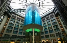 Gigantyczne akwarium wewnątrz hotelu. Aby je obejrzeć, potrzebna jest winda.