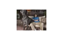 George - największy pies świata