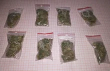 Policjanci zabezpieczyli 60 gramów marihuany