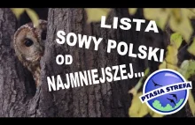 Lista lęgowych sów Polski
