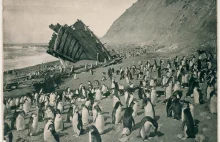 Wyprawa Antarktyczna Douglasa Mawsona w latach 1911-1914 na zdjęciach