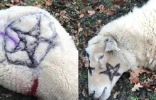 Martwe zwierzęta z satanistycznymi symbolami.