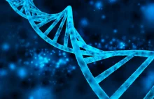 Jak doświadczenia wczesnego dzieciństwa zostają zapisane w DNA