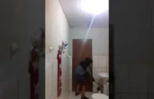 Co się stanie gdy wpuścisz puszka do łazienki w której utknął szczur